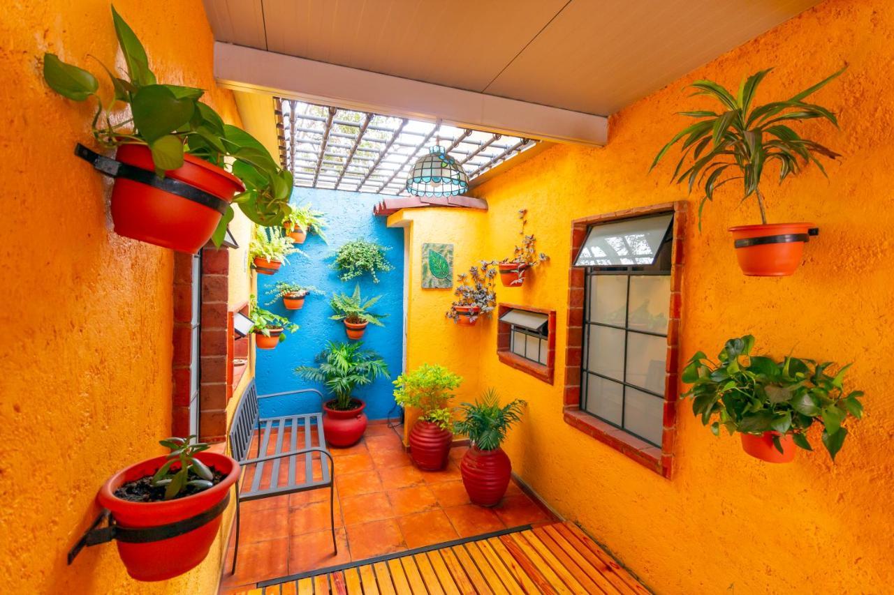 Mex Suites Casa Azul B&B Meksyk Zewnętrze zdjęcie