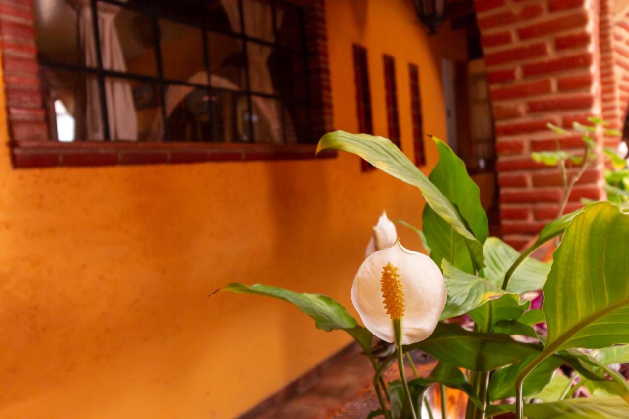 Mex Suites Casa Azul B&B Meksyk Zewnętrze zdjęcie