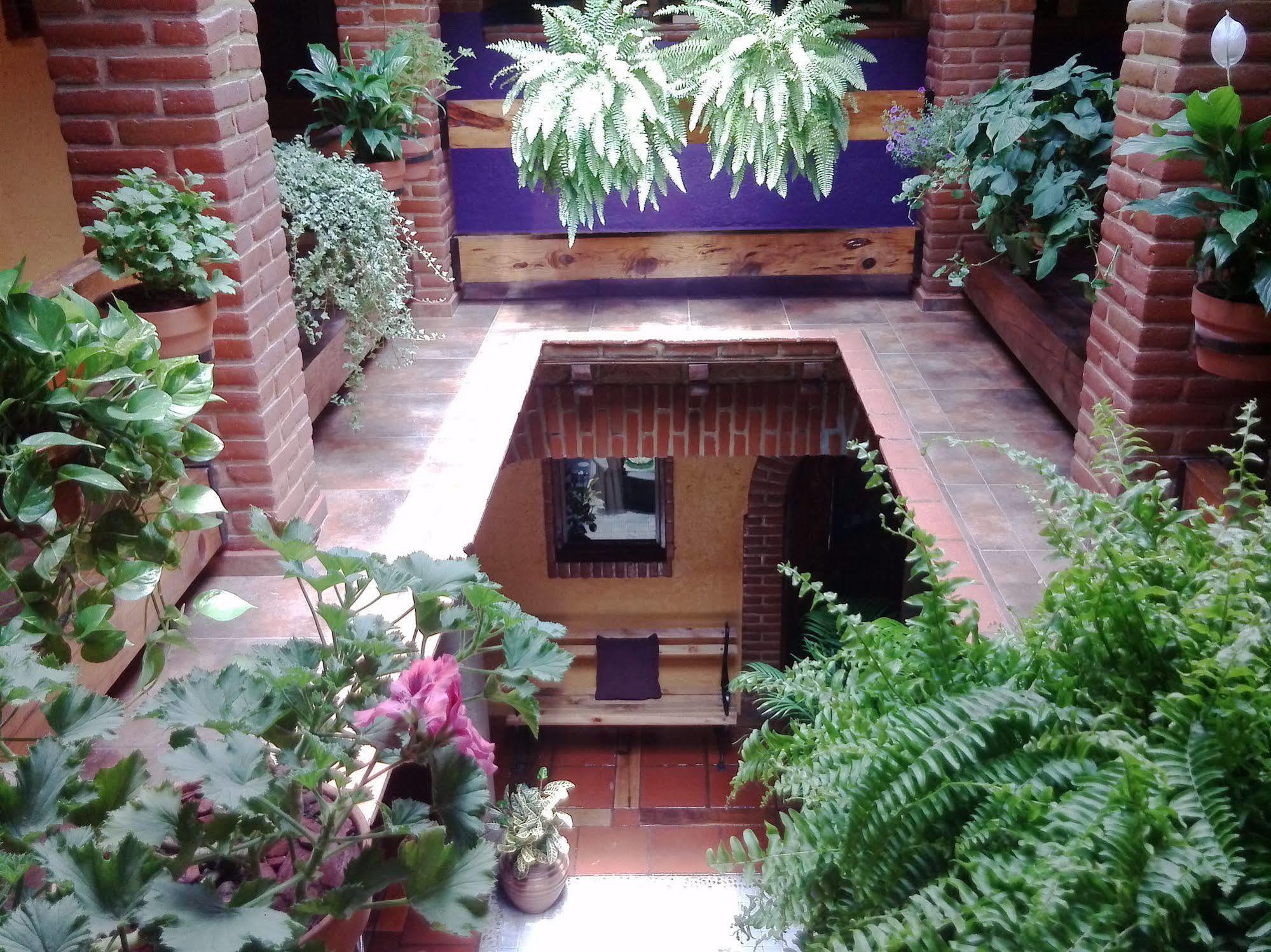 Mex Suites Casa Azul B&B Meksyk Zewnętrze zdjęcie