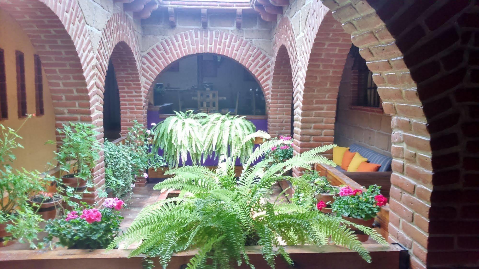 Mex Suites Casa Azul B&B Meksyk Zewnętrze zdjęcie